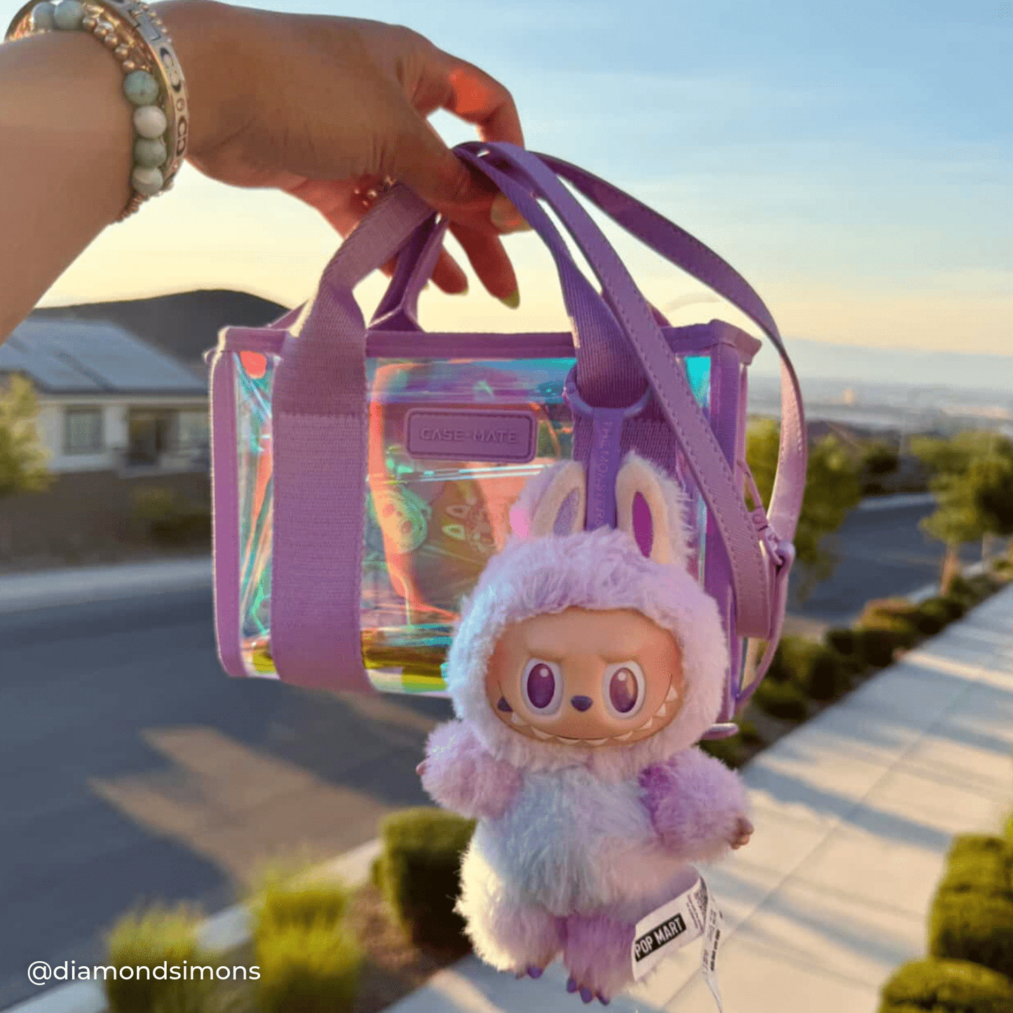 Clear Stadium Bag