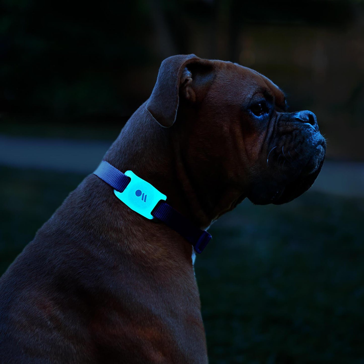 AirTag Case for Dog Collars 2 Pack (Black/Glow-in-the-Dark) - AirTag Case
